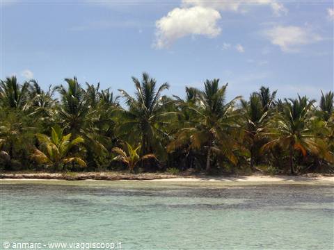 sfondo spiaggia saona