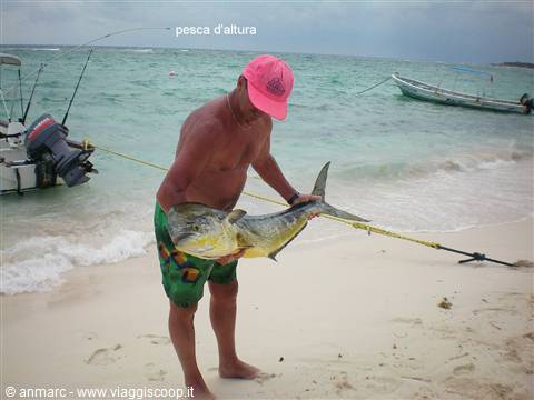 pesca d'altura