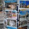 cartoline Arles FRANCIA 