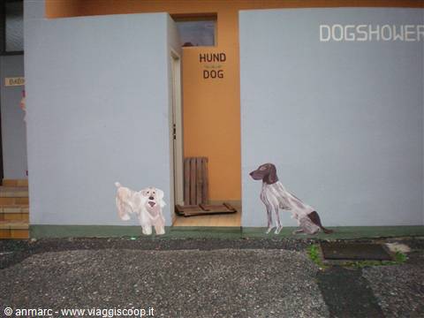 doccia x cani