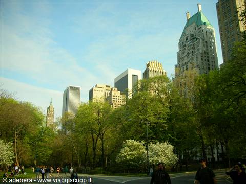central park air