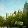 central park air STATI UNITI D'AMERICA 
