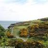  IRLANDA 