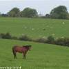  IRLANDA 