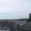  IRLANDA 
