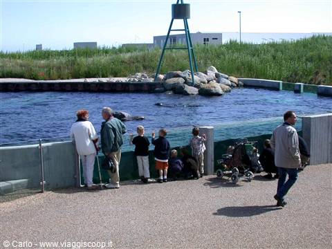 Hirtshals - Acquario
