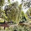 Karlovy Vary - Parco delle Terme REPUBBLICA CECA 