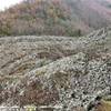 Napoli - Monte Summa - Lava e Licheni ITALIA 
