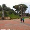 Napoli - Parco Virgiliano ITALIA 