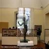 Napoli - Museo Archeologico Nazionale ITALIA 