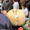 Venzone - la festa della zucca ITALIA 
