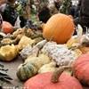 Venzone - La festa della Zucca ITALIA 