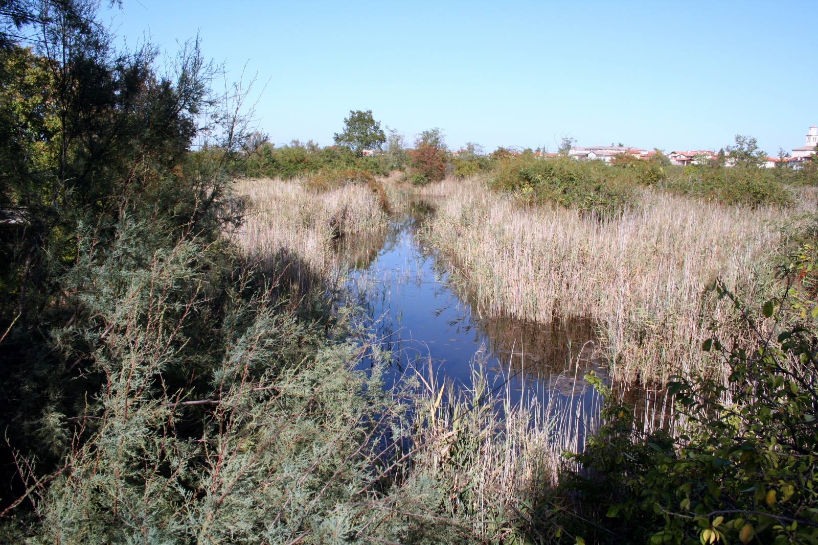Marano Lagunare - Riserva Naturale "Valle Canal Novo