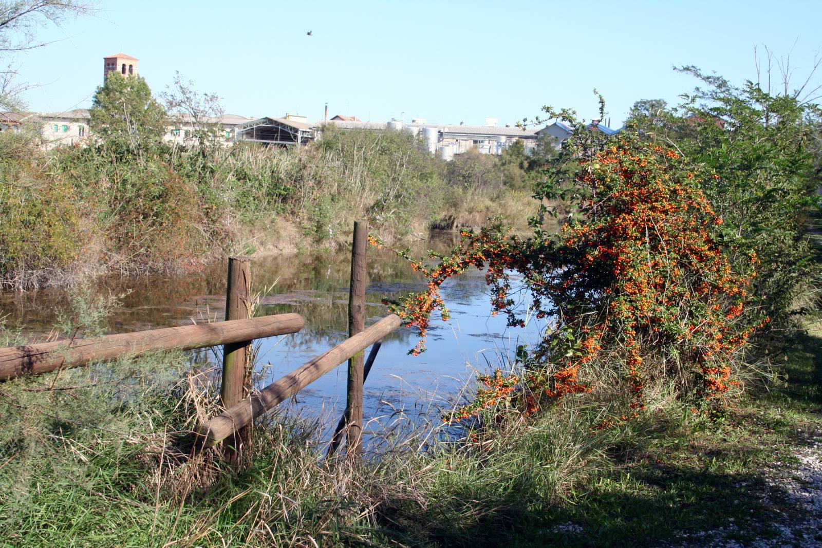 Marano Lagunare - Riserva Naturale "Valle Canal Novo