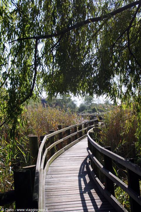 Marano Lagunare - Riserva Naturale "Valle Canal Novo"
