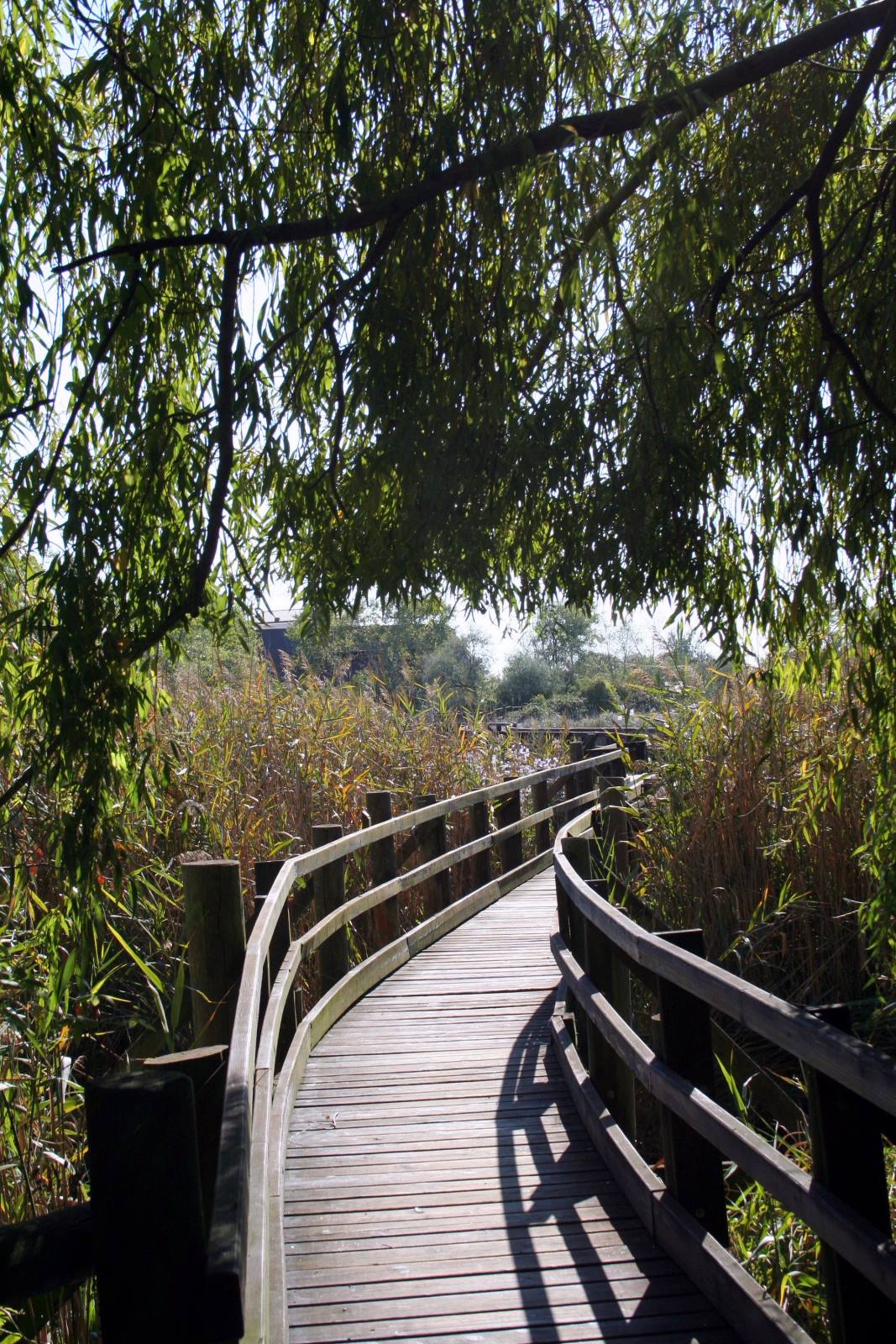 Marano Lagunare - Riserva Naturale "Valle Canal Novo"