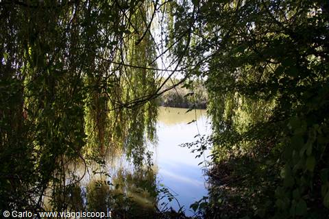 Marano Lagunare - Riserva Naturale "Valle Canal Novo"