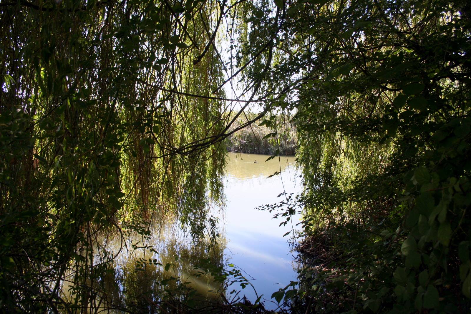 Marano Lagunare - Riserva Naturale "Valle Canal Novo"