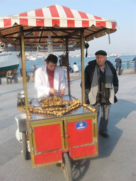 Turchia - Istambul - venditore di caldarroste
