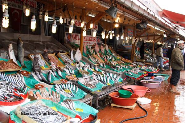Turchia - Istambul - mercato del pesce