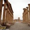 Siria - Palmira - Via Colonnata SIRIA 