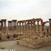 Siria - Palmira -Agorà SIRIA 