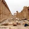 Siria - Palmira - la via Colonnata SIRIA 