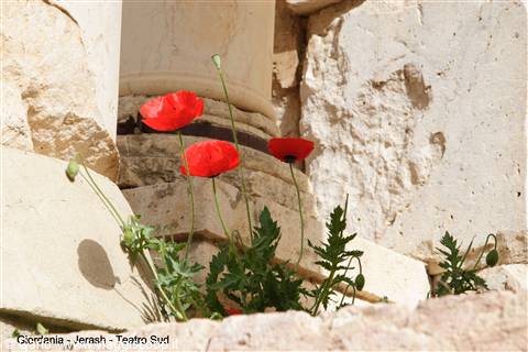 Giordania - Jerash - Teatro sud