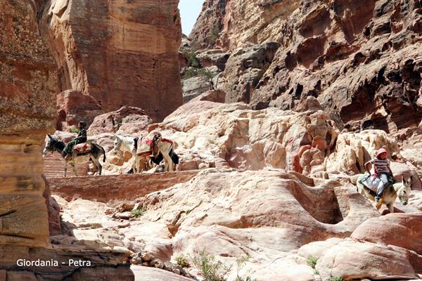 Giordania - Petra 
