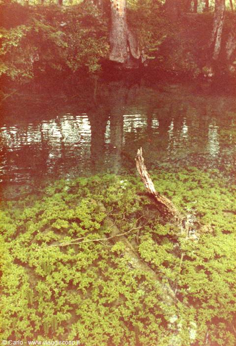 Laghi di Plitvice