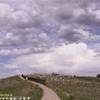 Little Bighorn STATI UNITI D'AMERICA 