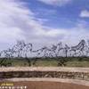 Little Bighorn  STATI UNITI D'AMERICA 