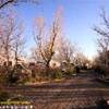 Campeggio Great Falls Koa STATI UNITI D'AMERICA 