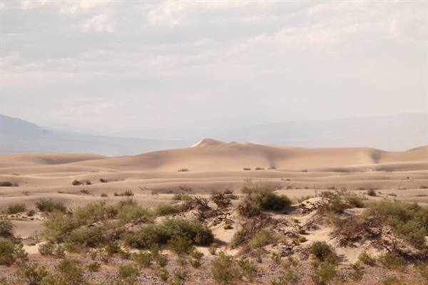 Stovepipe Wells - Dune di sabbia