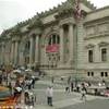 American Museum of natural History STATI UNITI D'AMERICA 
