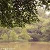 Central Park STATI UNITI D'AMERICA 
