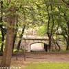 Central Park STATI UNITI D'AMERICA 