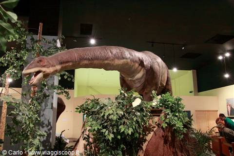 Dinosaur Journey Museum