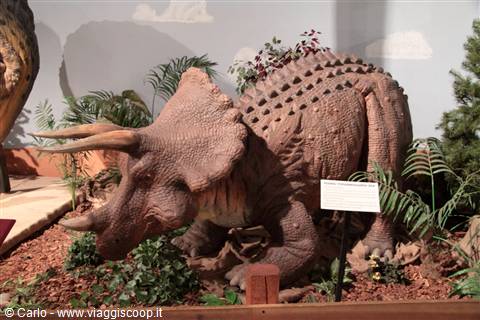 Dinosaur Journey Museum