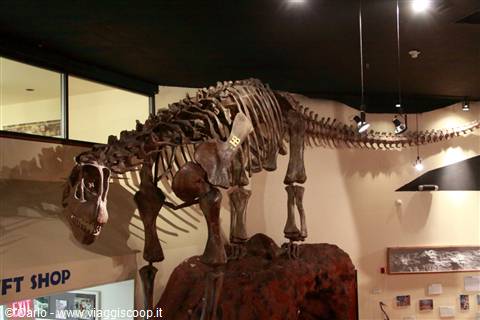 Dinosaur Journey Museum