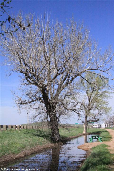 Wyoming