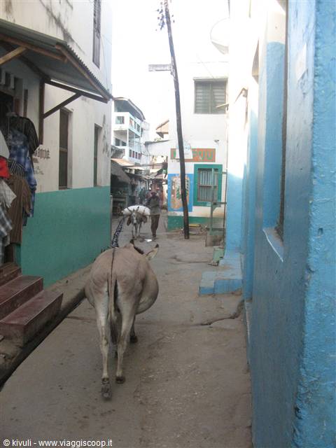 "punda" a Lamu...