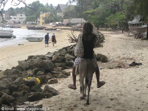 Lamu-Shela in punda!