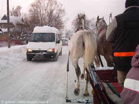 Verso l'avventura del fuoripista in slitta ippotrainata.
