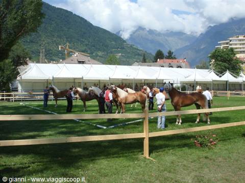 Panoramica di parte della presentazione