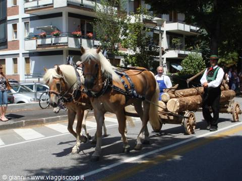 Sfilata per le vie di Merano 1