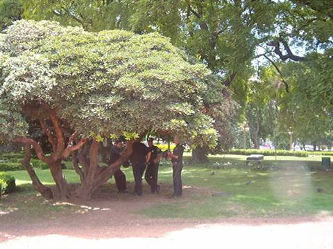 All'ombra della Casa Rosada