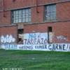 Montevideo: particolare della Rambla. URUGUAY 