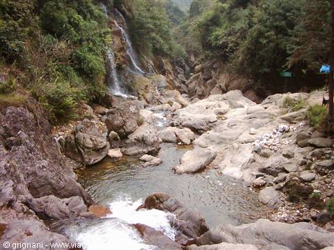 Sapa