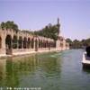 Sanli Urfa, la vasca con le carpe sacre TURCHIA 